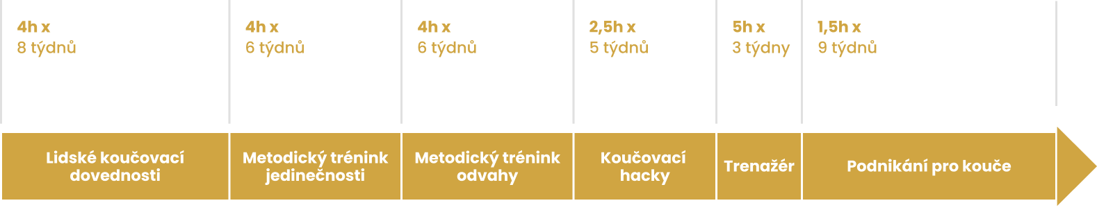 Cesta za PCC certifikací ICF