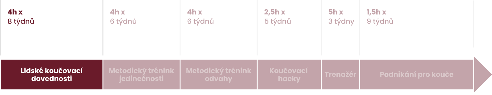 Vstupní brána do koučování